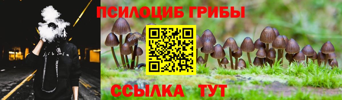 Галлюциногенные грибы Magic Shrooms  Вход с VPN  Старая Купавна  Галлюциногенные грибы ЛСД 